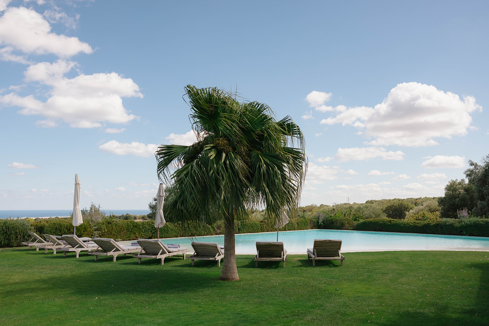 The swimming pool and palm trees at Masseria Petrarolo