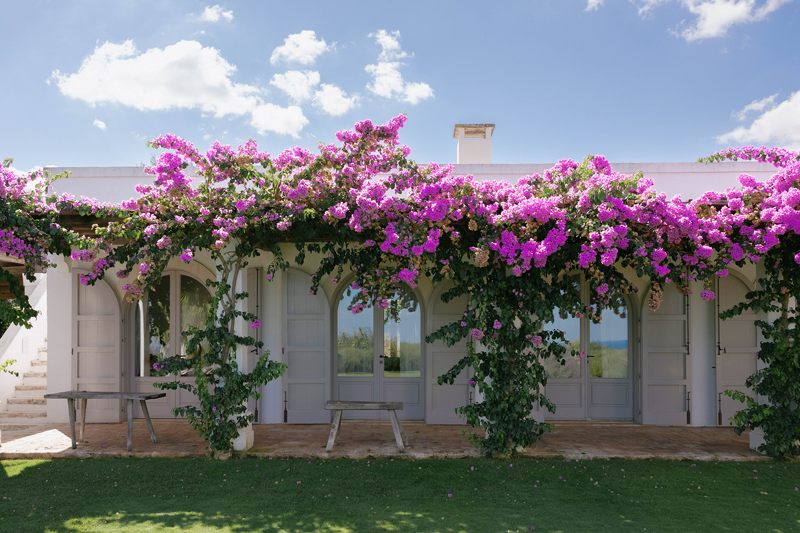 Bougainvillea around the historic Masseria