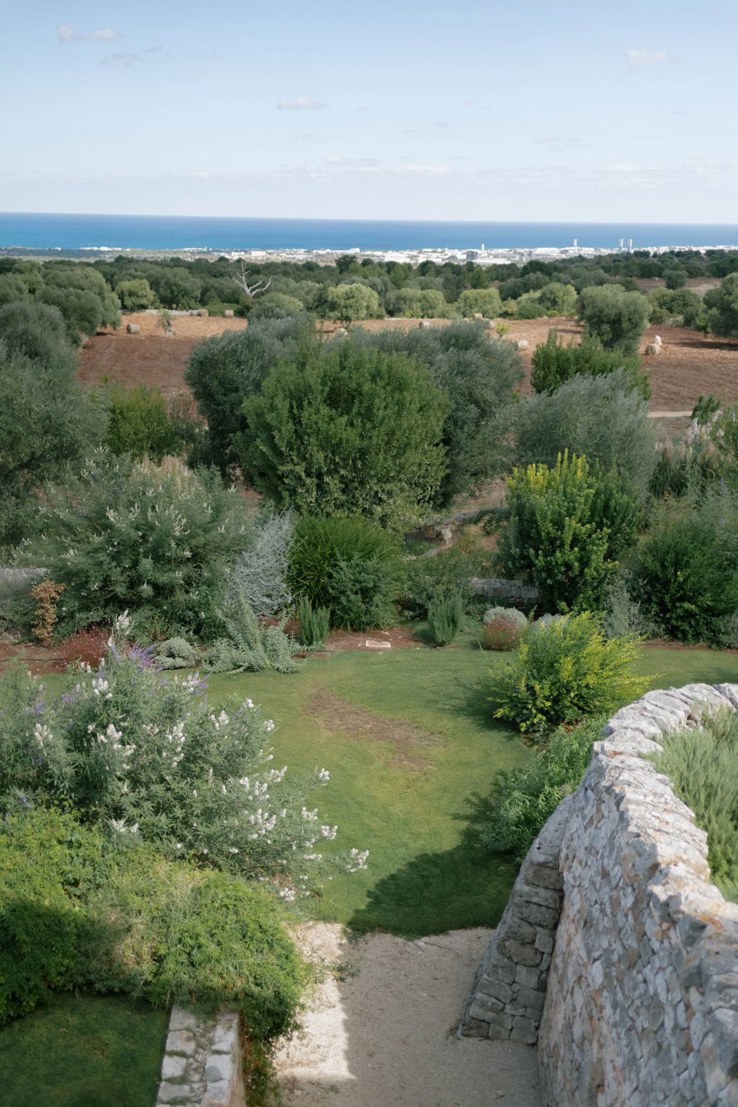 Sea views across Petrarolo’s gardens and olive groves